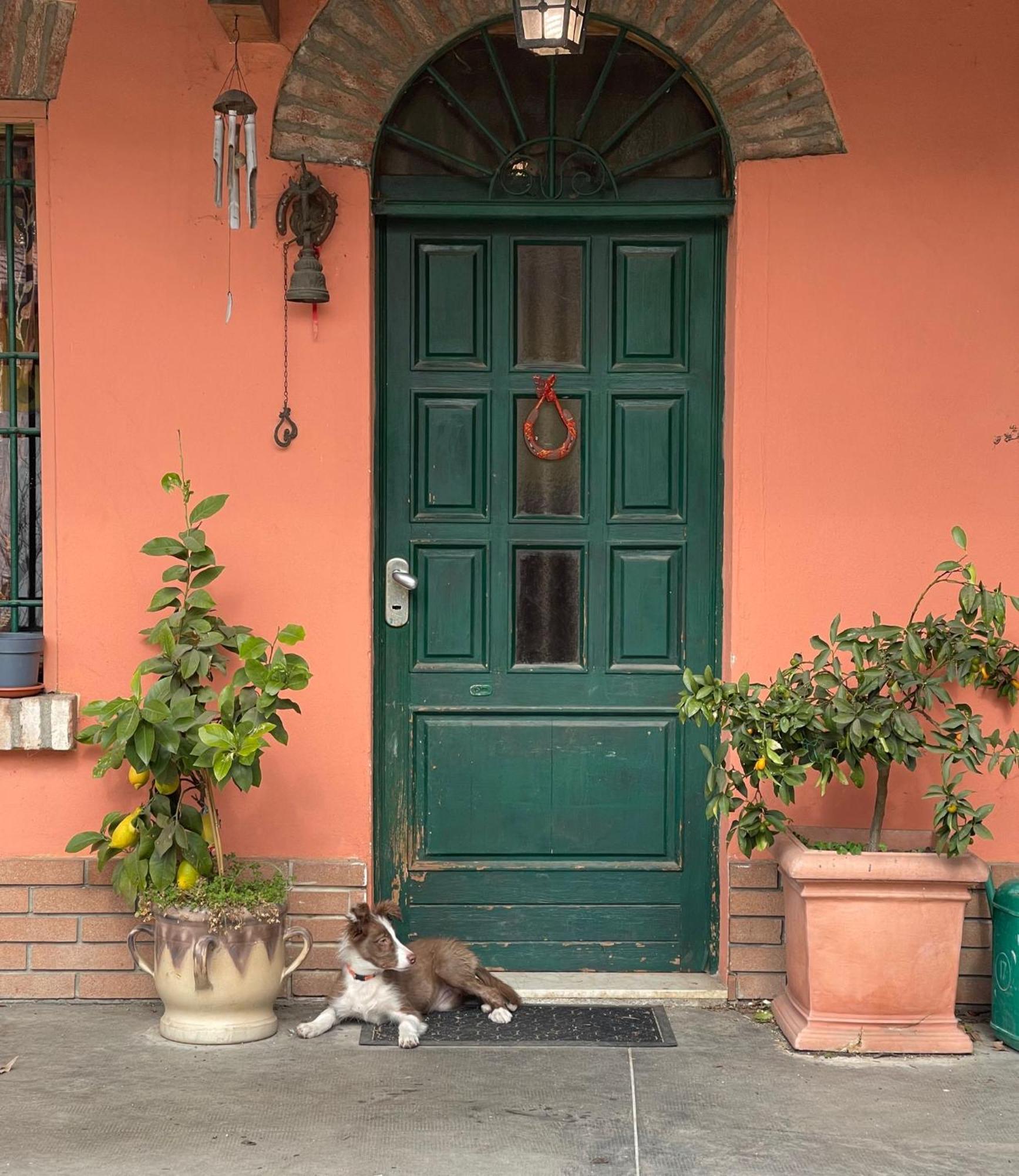 B&B La Cascina Di Alice Кастельони деле Стивиере Екстериор снимка